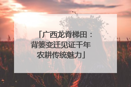 广西龙脊梯田：背篓变迁见证千年农耕传统魅力