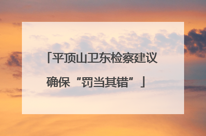 平顶山卫东检察建议确保“罚当其错”