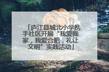 庐江县城北小学携手社区开展“我爱我家，我爱合肥，礼让文明”实践活动