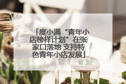 度小满“青年小店榜样计划”在张家口落地 支持特色青年小店发展