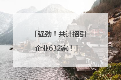 强劲！共计招引企业632家！