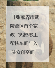 张家界市武陵源区首个家政“妈妈零工帮扶车间”入驻众创空间