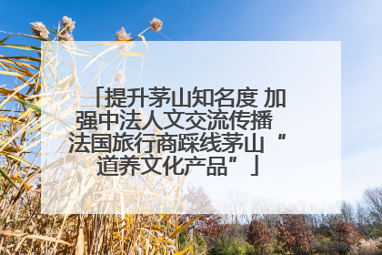 提升茅山知名度 加强中法人文交流传播 法国旅行商踩线茅山“道养文化产品”