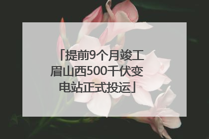 提前9个月竣工 眉山西500千伏变电站正式投运