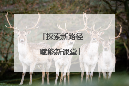 探索新路径 赋能新课堂