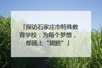 探访石家庄市特殊教育学校：为每个梦想，都插上“翅膀”