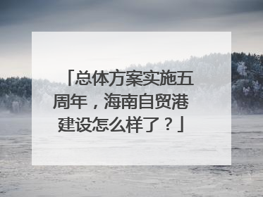 总体方案实施五周年，海南自贸港建设怎么样了？