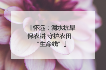 怀远：调水抗旱保农耕 守护农田 “生命线”