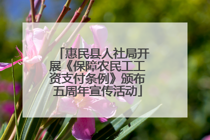 惠民县人社局开展《保障农民工工资支付条例》颁布五周年宣传活动