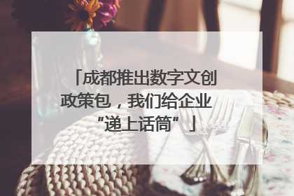 成都推出数字文创政策包,我们给企业“递上话筒”