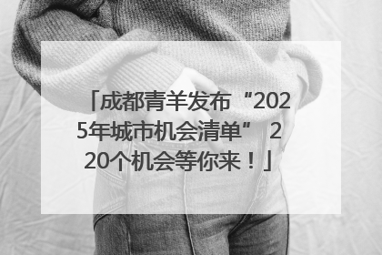 成都青羊发布“2025年城市机会清单” 220个机会等你来！