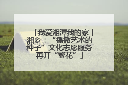 我爱湘潭我的家丨湘乡：“播撒艺术的种子”文化志愿服务再开“繁花”