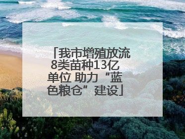 我市增殖放流8类苗种13亿单位 助力“蓝色粮仓”建设