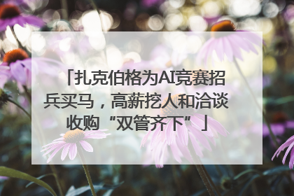 扎克伯格为AI竞赛招兵买马，高薪挖人和洽谈收购“双管齐下”