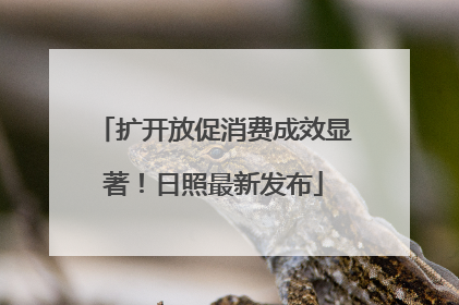 扩开放促消费成效显著！日照最新发布