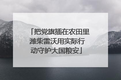 把党旗插在农田里 潍柴雷沃用实际行动守护大国粮安