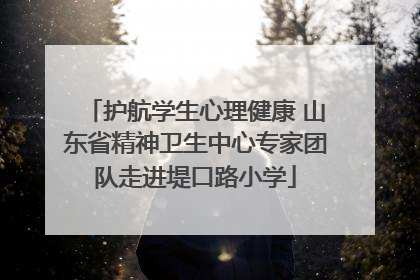 护航学生心理健康 山东省精神卫生中心专家团队走进堤口路小学