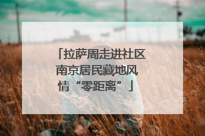拉萨周走进社区 南京居民藏地风情“零距离”