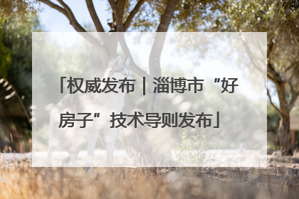 权威发布｜淄博市“好房子”技术导则发布