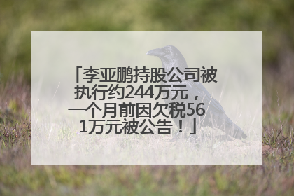 李亚鹏持股公司被执行约244万元，一个月前因欠税561万元被公告！