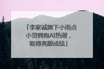 李家诚旗下小雨点小贷拥抱AI热潮，取得亮眼成绩