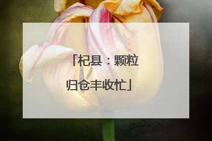 杞县：颗粒归仓丰收忙
