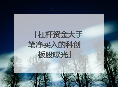 杠杆资金大手笔净买入的科创板股曝光