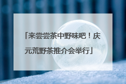 来尝尝茶中野味吧！庆元荒野茶推介会举行