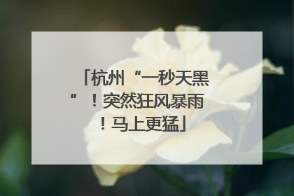 杭州“一秒天黑”！突然狂风暴雨！马上更猛