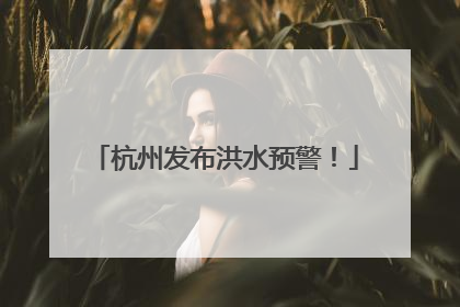 杭州发布洪水预警！