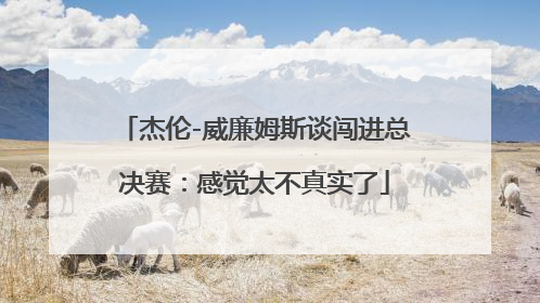 杰伦-威廉姆斯谈闯进总决赛：感觉太不真实了