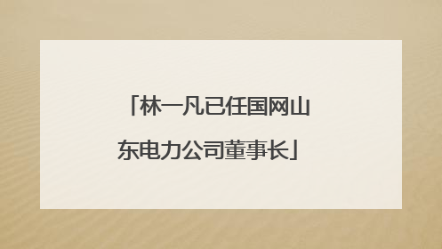 林一凡已任国网山东电力公司董事长