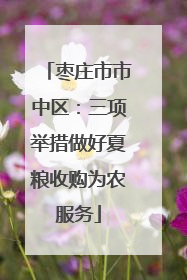 枣庄市市中区：三项举措做好夏粮收购为农服务