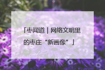 枣闻道｜网络文明里的枣庄“新画像”