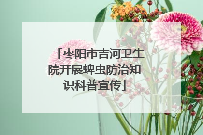 枣阳市吉河卫生院开展蜱虫防治知识科普宣传