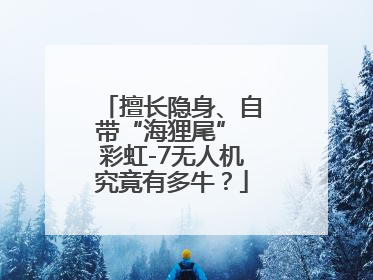 擅长隐身、自带“海狸尾” 彩虹-7无人机究竟有多牛？