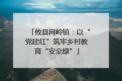 攸县网岭镇：以“党建红”筑牢乡村教育“安全绿”