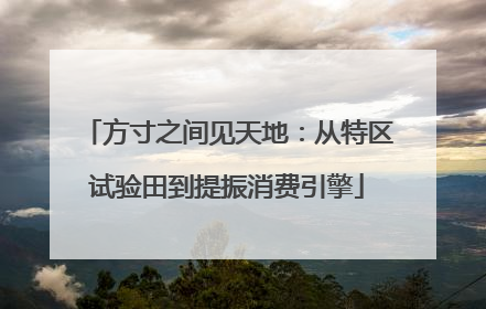 方寸之间见天地：从特区试验田到提振消费引擎