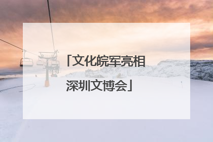 文化皖军亮相深圳文博会