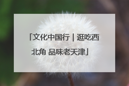 文化中国行｜逛吃西北角 品味老天津