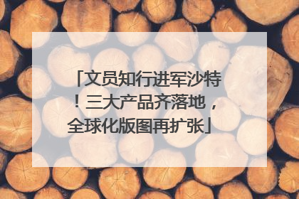 文员知行进军沙特！三大产品齐落地，全球化版图再扩张