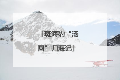 斑海豹“汤圆”归海记