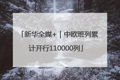 新华全媒+｜中欧班列累计开行110000列