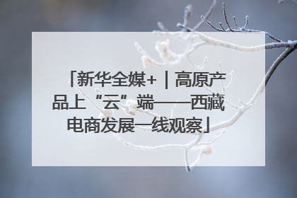 新华全媒+｜高原产品上“云”端——西藏电商发展一线观察