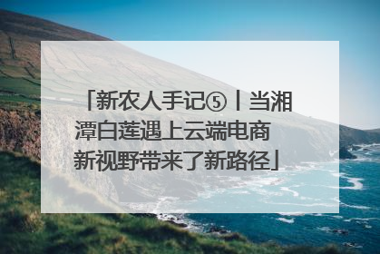 新农人手记⑤丨当湘潭白莲遇上云端电商 新视野带来了新路径