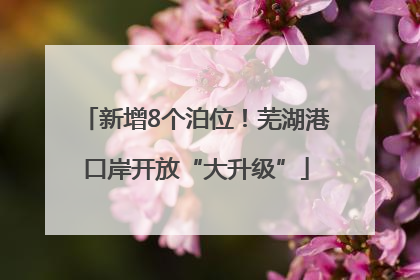 新增8个泊位！芜湖港口岸开放“大升级”
