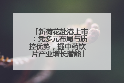 新荷花赴港上市：凭多元布局与质控优势，掘中药饮片产业增长潜能