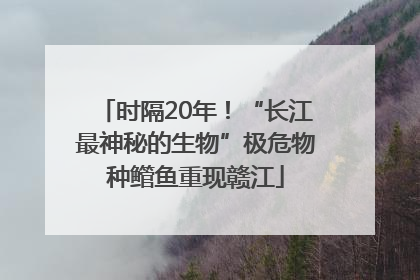 时隔20年！“长江最神秘的生物”极危物种鳤鱼重现赣江