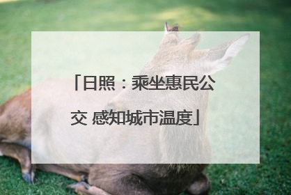 日照：乘坐惠民公交 感知城市温度
