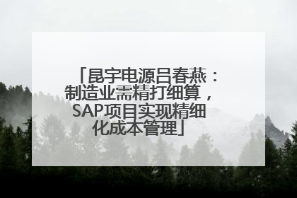 昆宇电源吕春燕：制造业需精打细算，SAP项目实现精细化成本管理